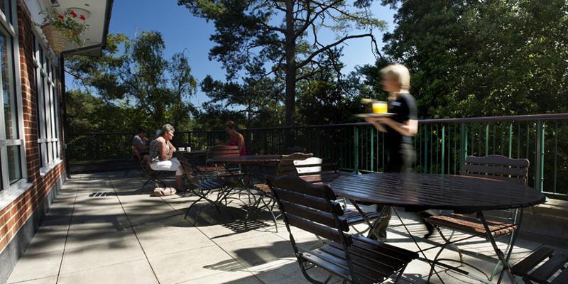 The Lodge At Meyrick Park Bournemouth Exteriér fotografie
